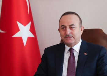 Çavuşoğlu: Qondarma “soyqırım” la bağlı bəyanatı rədd edirik